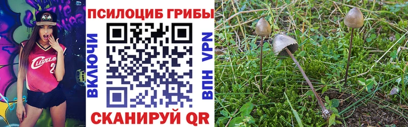 Псилоцибиновые грибы прущие грибы  Кольчугино 