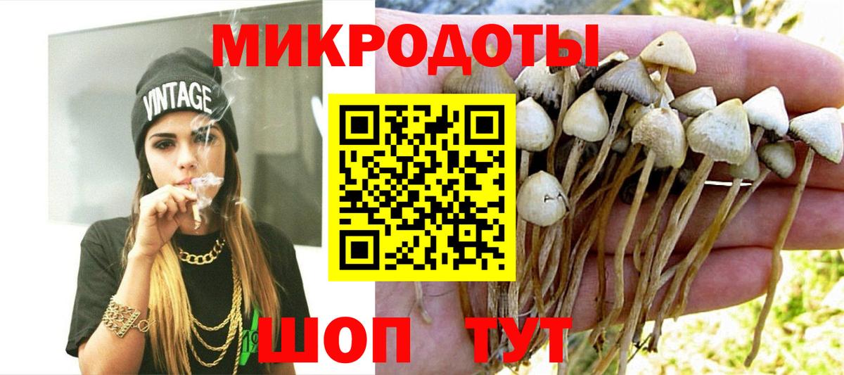Галлюциногенные грибы Magic Shrooms Кольчугино